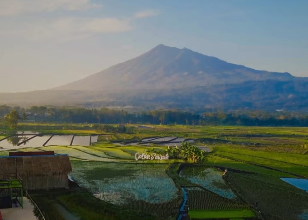 dolan sawah salatiga