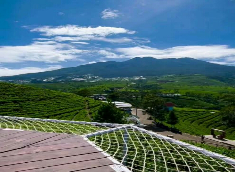 Agrowisata Kebun Teh Kemuning