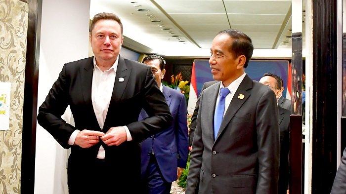 Jokowi Bertemu Elon Musk di Bali, Bahas Akselerasi Transformasi Digital Hingga Investasi (TribunNews)