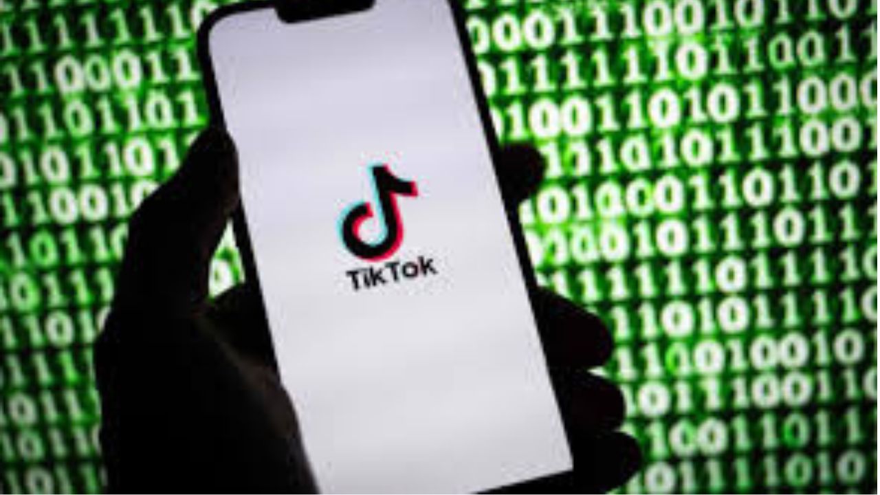 cara cek uang TikTok