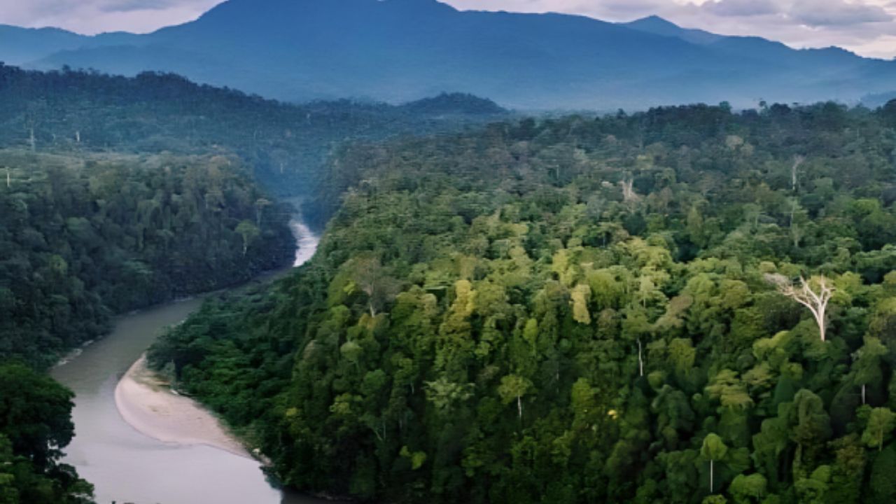 Taman Nasional Gunung Leuser