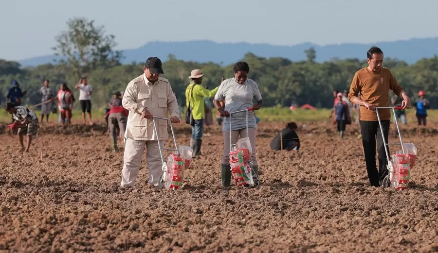 Food Estate Beralih ke Papua