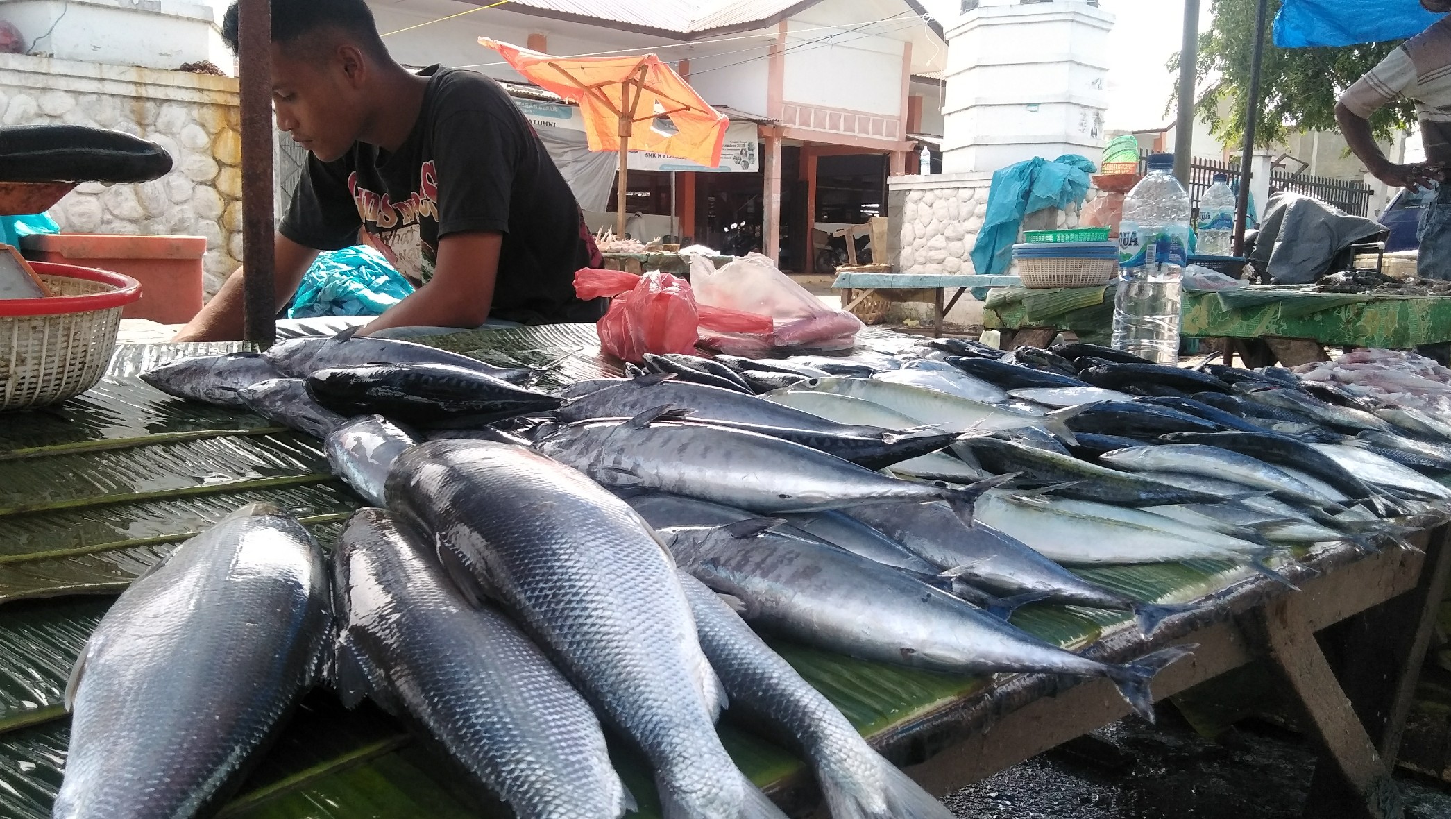 Daftar Ikan dengan Merkuri Tinggi