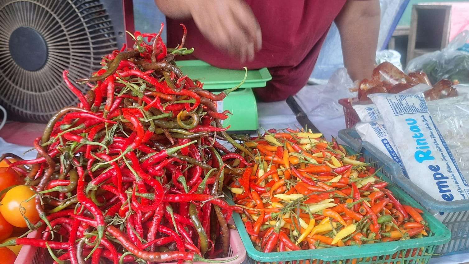 Harga cabai melambung tinggi