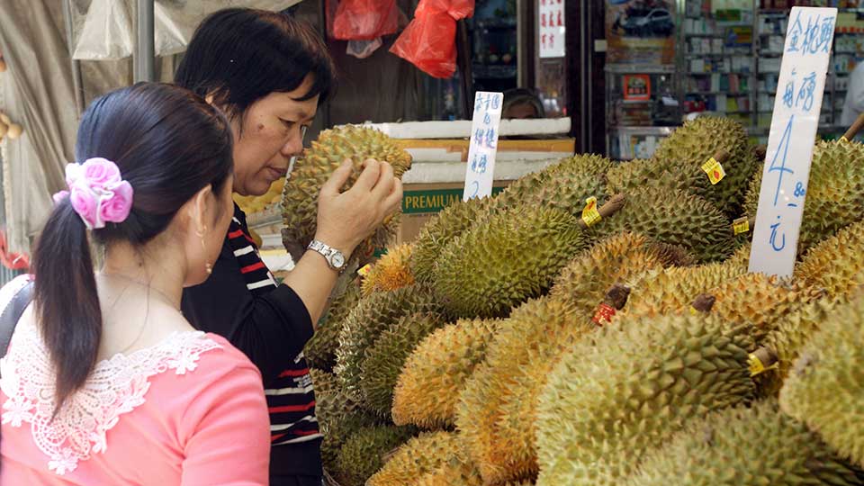 Vietnam Geser Indonesia Jadi Raja Durian Dunia