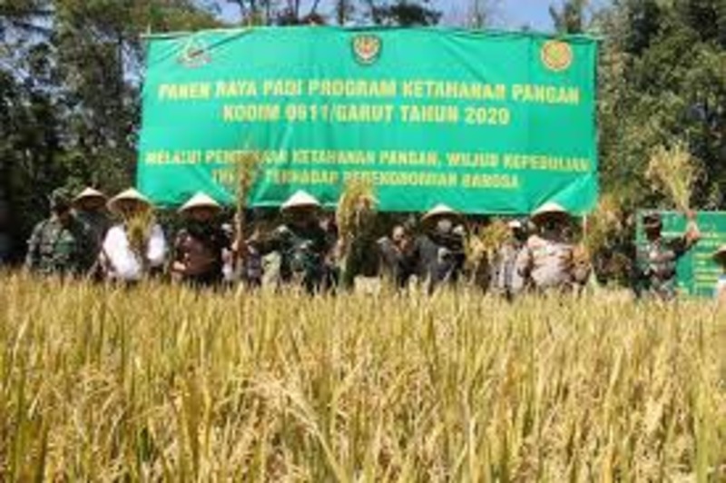 lahan pangan produktif